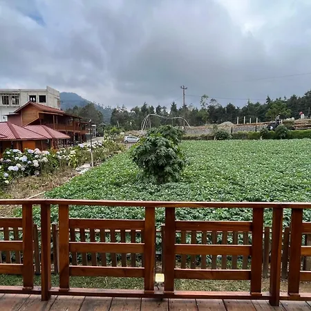 Fifa Cabin Dieng By Fifa Grup-3